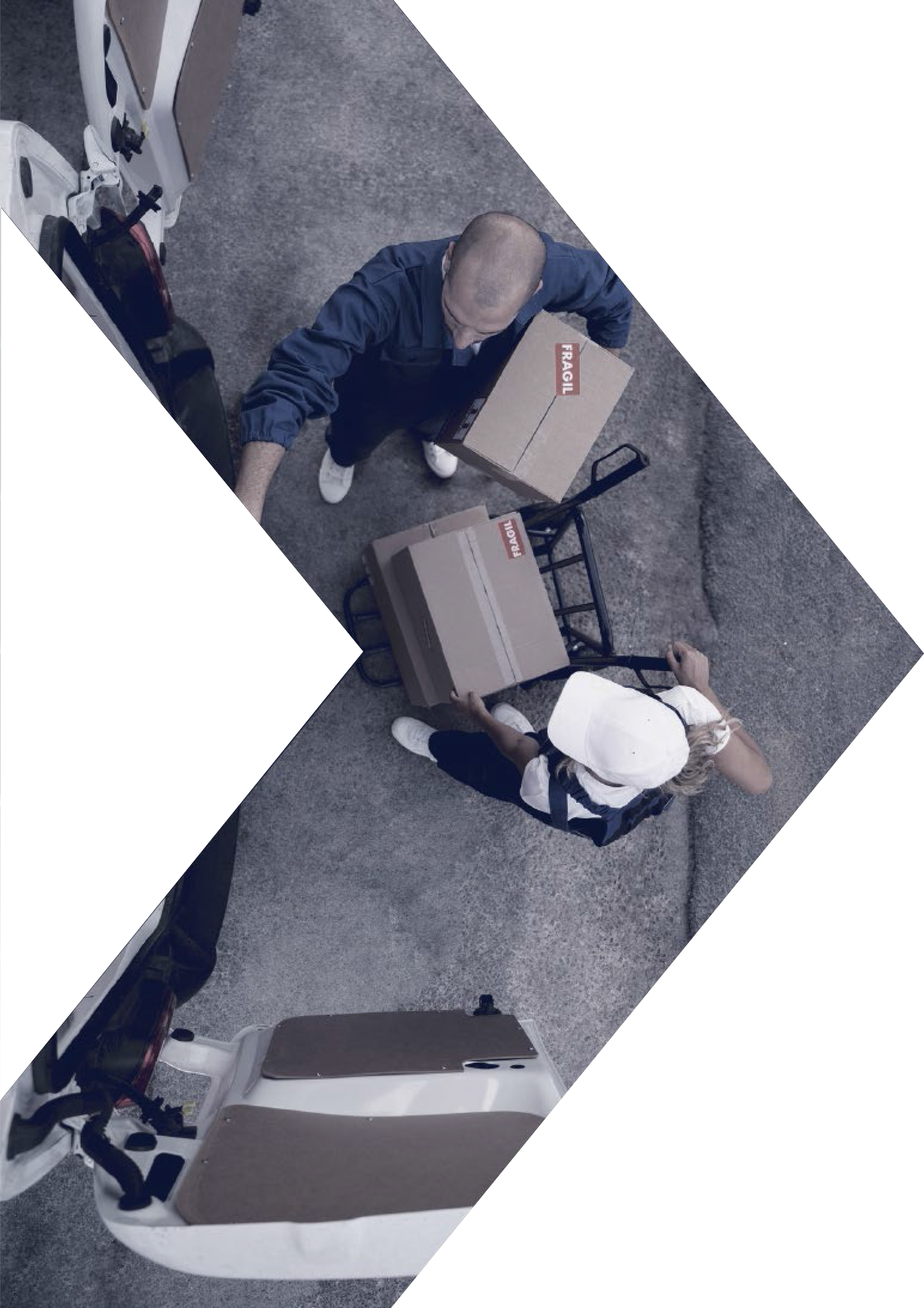 Imagem de Distribuição